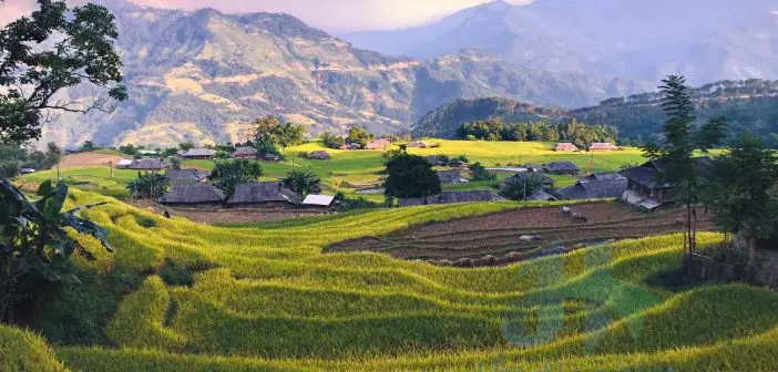 Bộ ảnh đẹp lung linh của Bản Phùng, Hoàng Su Phì, Hà Giang 7 Do chưa được khai thác du lịch nhiều nên Bản Phùng còn nhiều nét hoang sơ