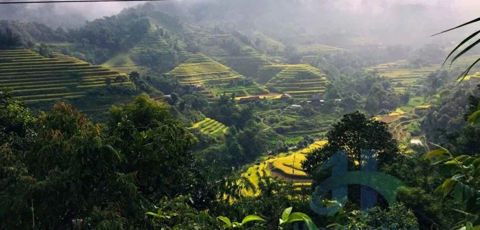 Bộ ảnh đẹp lung linh của Bản Phùng, Hoàng Su Phì, Hà Giang 3 Ruộng bậc thang, khí hậu trong lành, rừng cây xanh mướt ở Bản Phùng đang chờ đón các dân phượt