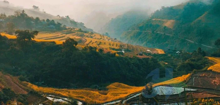 Bộ ảnh đẹp lung linh của Bản Phùng, Hoàng Su Phì, Hà Giang 4 Sương mù vào sáng sớm là điểm đặc trưng của các khu vực vùng núi