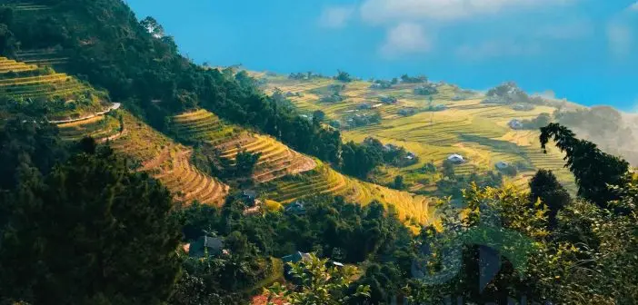Bộ ảnh đẹp lung linh của Bản Phùng, Hoàng Su Phì, Hà Giang 9 Bản Phùng với những cánh đồng ruộng bậc thang tuyệt đẹp