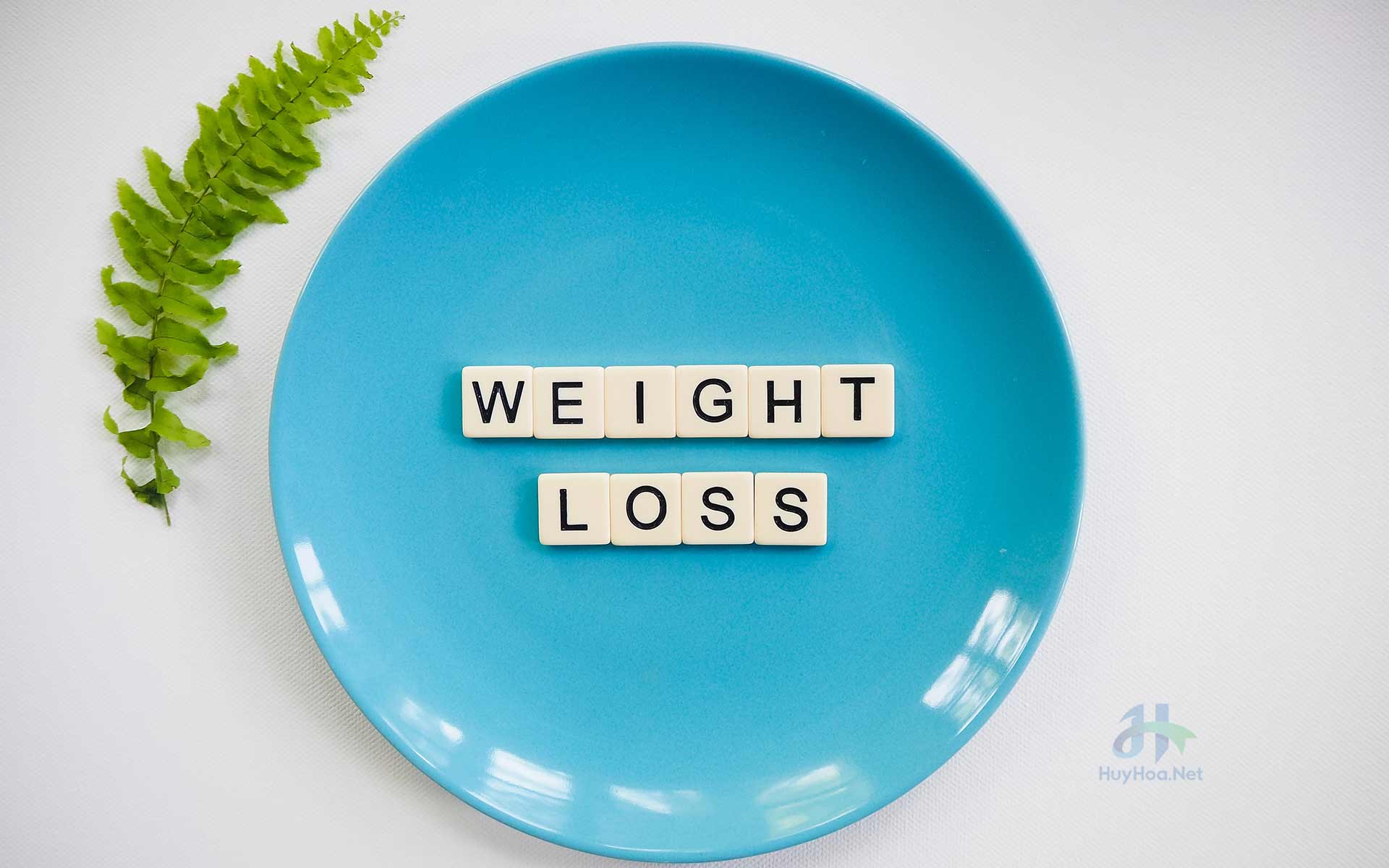 Atkins Diet Induction Phase Food List Tips Atkins Diet Induction Phase Food List Tips