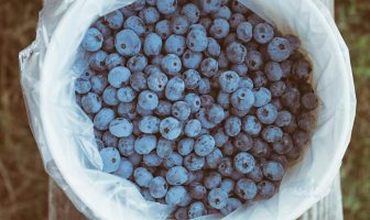 Blueberries, The Brain Saving & Anti Aging Fruit Blueberries appear to have significant benefits for people with high blood pressure