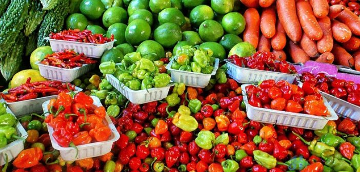 Fresh fruits high in calories include plantains, bananas, and guavas. Fresh fruits high in calories include plantains, bananas, and guavas.