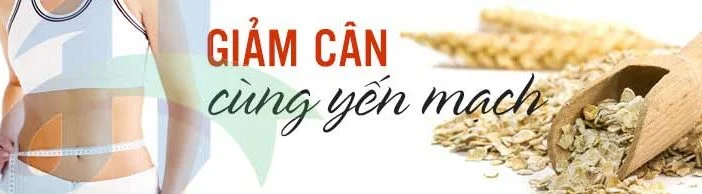 Thực đơn giảm cân hiệu quả nhất giúp giảm 5kg/ 2tuần với yến mạch 1 Giảm tới 5kg 1 tuần với thực đơn cháo yến mạch