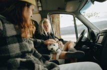 Motion or car sickness is more common in younger dogs than adults