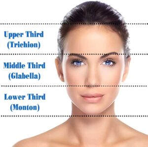 Average Forehead Size & How To Know If You Have A Big Forehead?