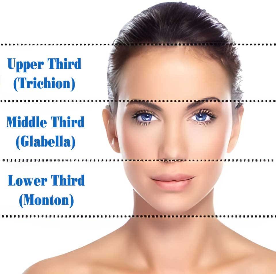 Average Forehead Size Whats Normal For Men And Women 