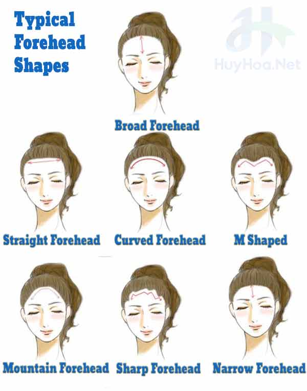 Types of forehead shapes