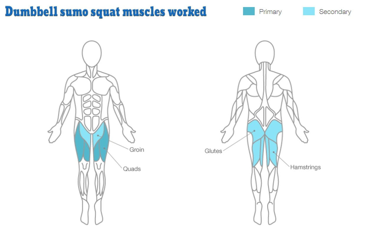 Sumo squat with dumbbells work on your quadriceps, glutes, hips, hamstrings, and calves