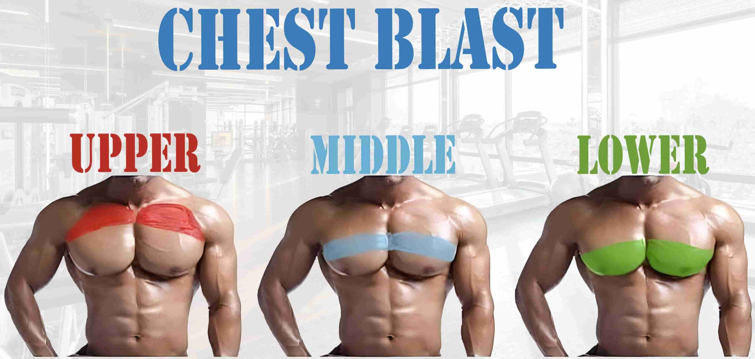 Upper middle and lower chest online workout