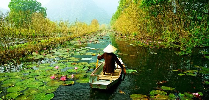 Những hình ảnh đẹp về làng quê việt nam chất lượng 4K 16 Hình ảnh làng quê Việt Nam đẹp xuất sắc