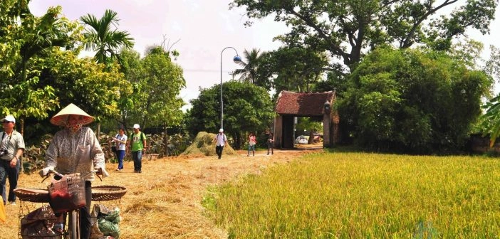 Những hình ảnh đẹp về làng quê việt nam chất lượng 4K 1 Những con đường với đầy rơm rạ trong ngày mùa