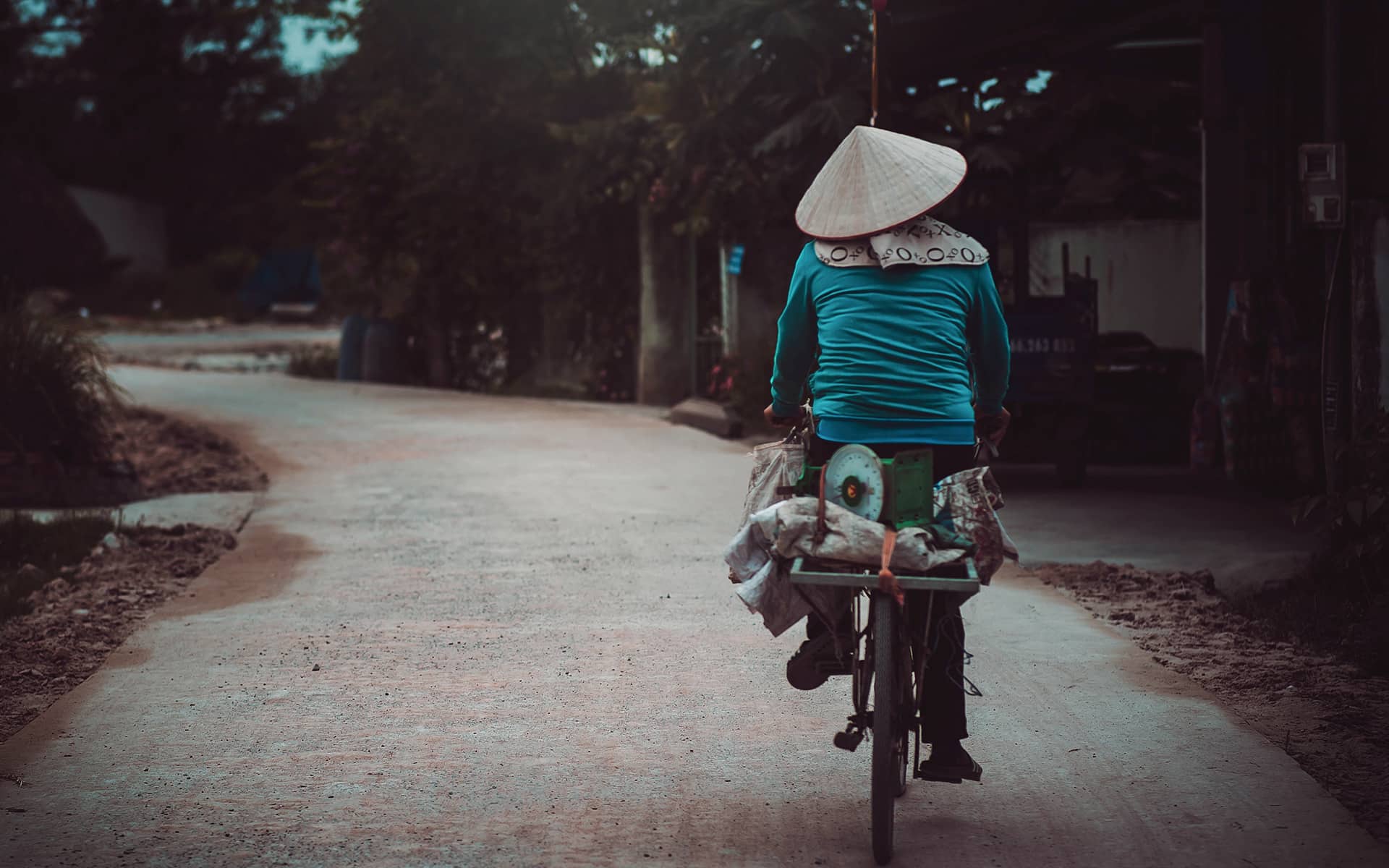 Những Hình Ảnh Đẹp Về Làng Quê, Quê Hương Việt Nam Chất Lượng 4K