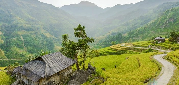 Những hình ảnh đẹp về làng quê việt nam chất lượng 4K 17 Ruộng bậc thang ở Mù Cang Chải