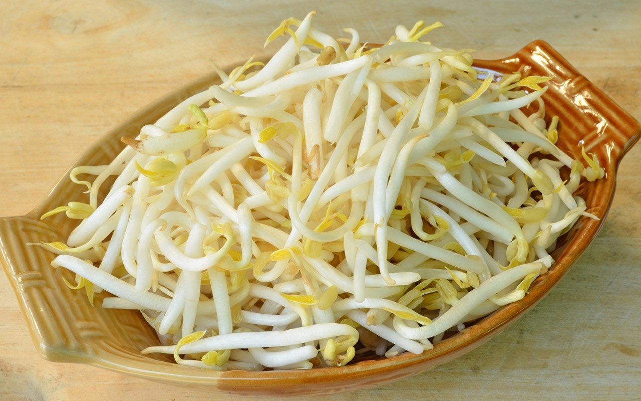 Bean sprouts are extremely nutritious food