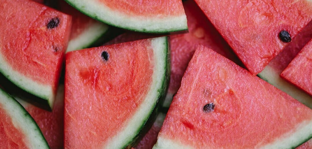 Dogs Can Eat Watermelon but Watermelon seeds aren’t safe for dogs.