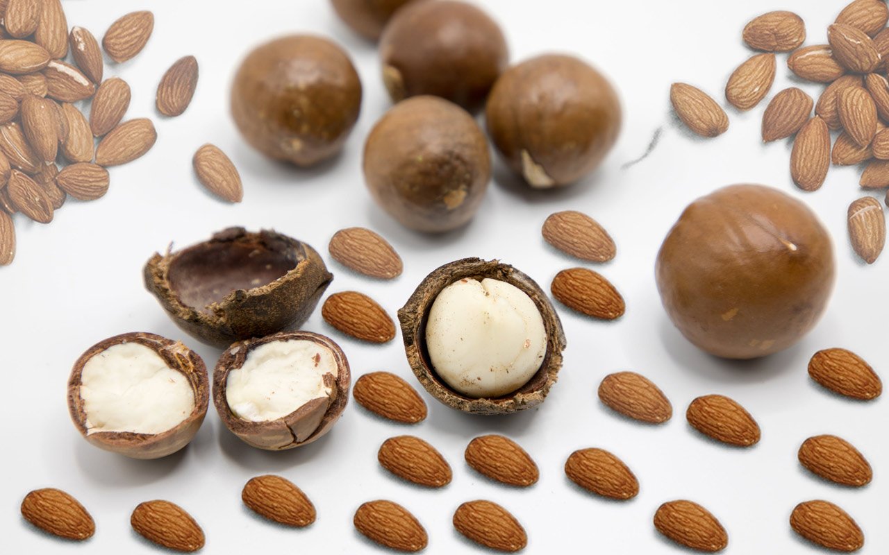 Almonds and Macadamia nuts are 2 nuts that dogs should not eat