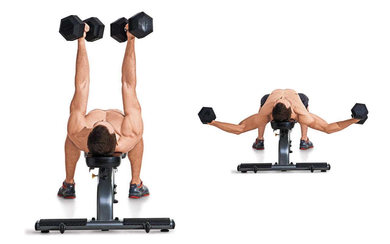 A chest fly is an excellent upper body move that uses dumbbells to strengthen the chest and arms muscles.