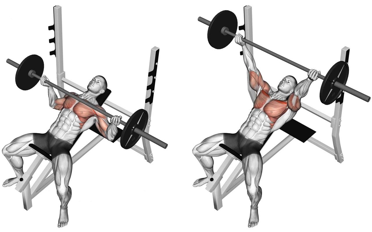 The incline barbell bench press is an upper body strength exercise that targets the chest, shoulder, and triceps. 
