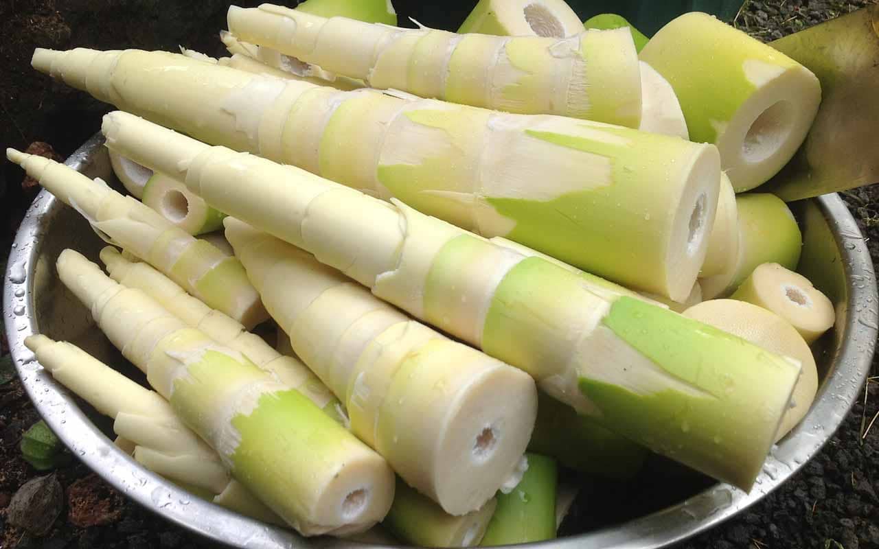 Bamboo shoots benefits in pregnancy