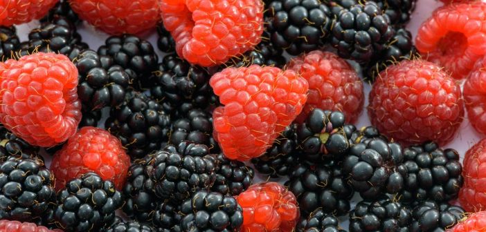 10 superfoods list you should eat every day 2 Berry fruit has recently been dubbed 'superfood' as a result of its high antioxidant capacity and claimed efficacy in combating a series of degenerative diseases.