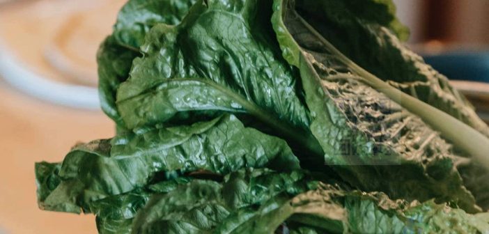 10 superfoods list you should eat every day 7 Spinach, whether eaten raw or cooked, is an excellent source of vitamins, minerals and beneficial phytochemicals