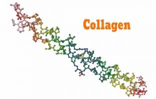 Hình ảnh phòng to qua kính hiển vi của Collagen