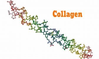Hình ảnh phòng to qua kính hiển vi của Collagen