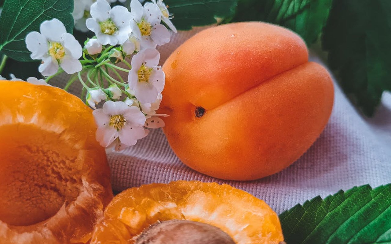 Apricots are a good source of potassium, vitamin A, and phosphorus. 