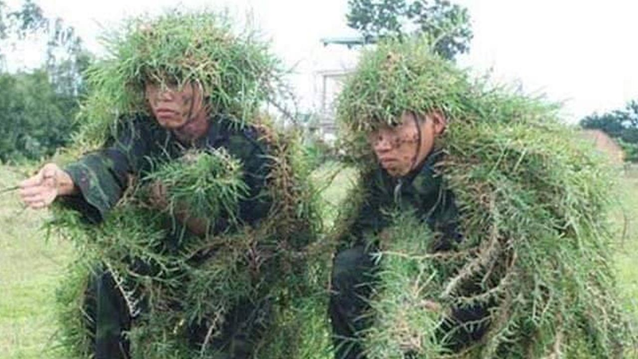 When the trees start speaking Vietnamese