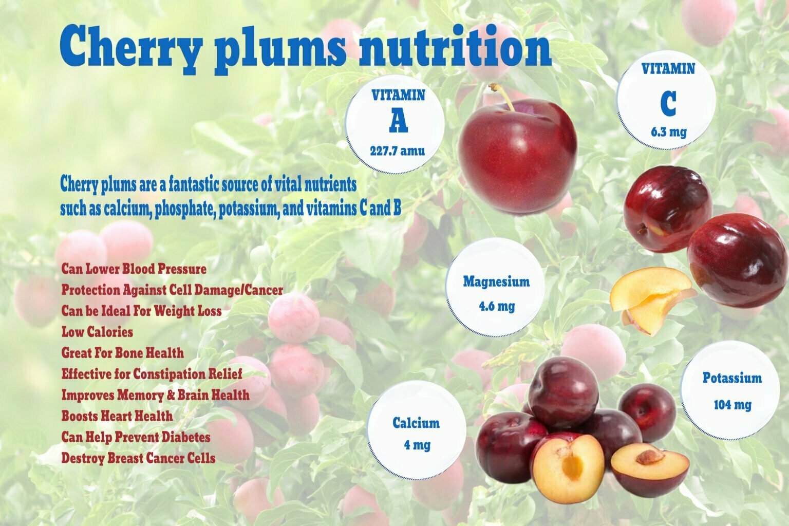 Cherry Plums Nutrition Information