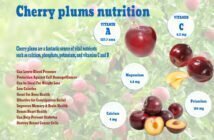 Cherry plums nutrition facts