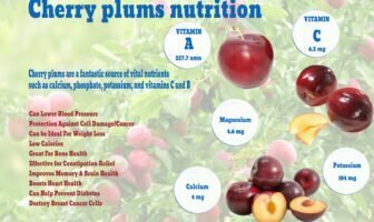 Cherry plums nutrition facts
