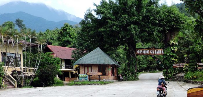 Bach Ma National Park - Ideal Stop To Discover The Natural In Vietnam