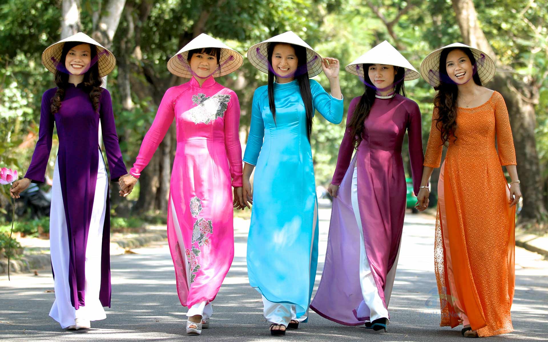 Everything You Wanted To Know About The Vietnamese Conical Hat Bamboo ...