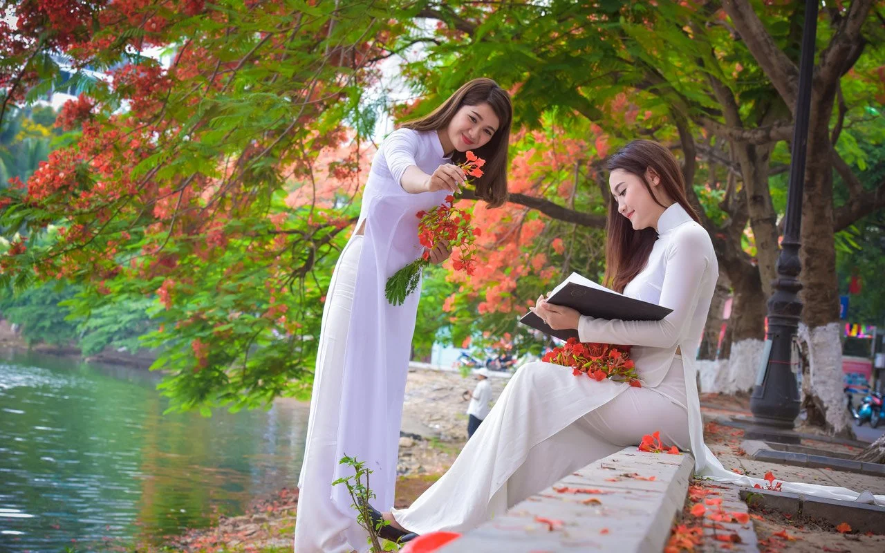 Hanoi girls with Flamboyant flowers Hanoi girls with Flamboyant flowers