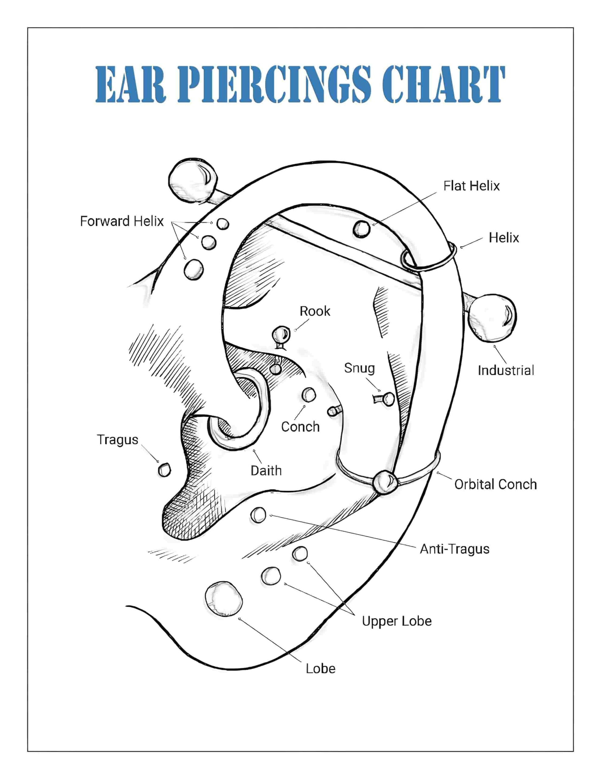Ear Piercings Chart