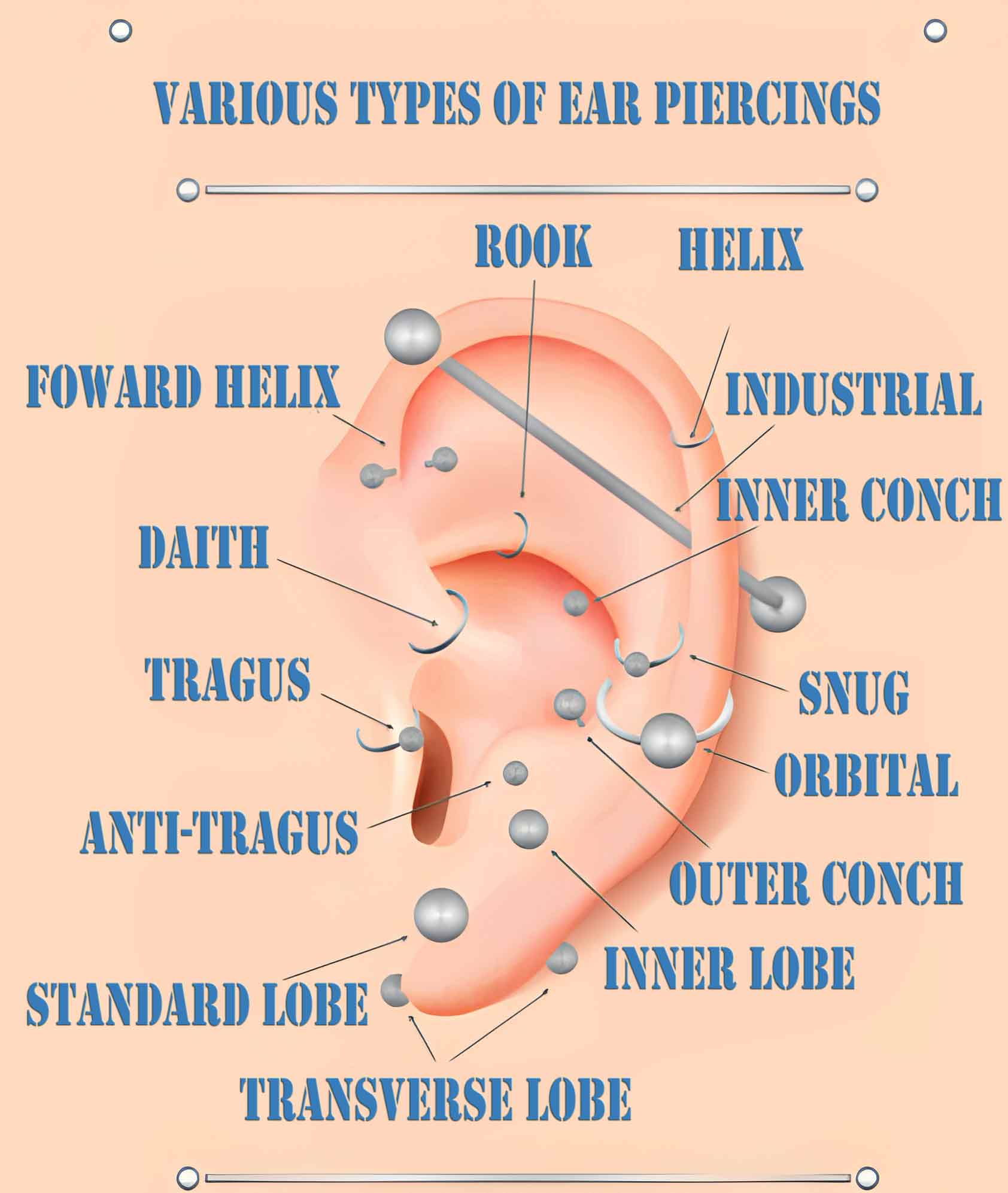 Types of ear piercings