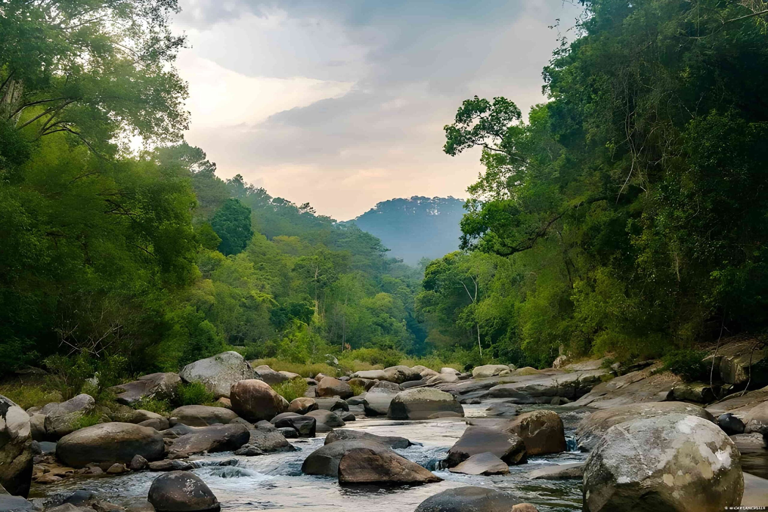 Chu Yang Sin National Park is one of the two most famous national parks of Dak Lak province