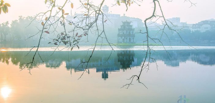 Hoan Kiem Lake in the autumn is dotted with blooming fragrant milk flowers and trees whose leaves have turned yellow and bunches of yellow sunflowers on wheels of street traders.