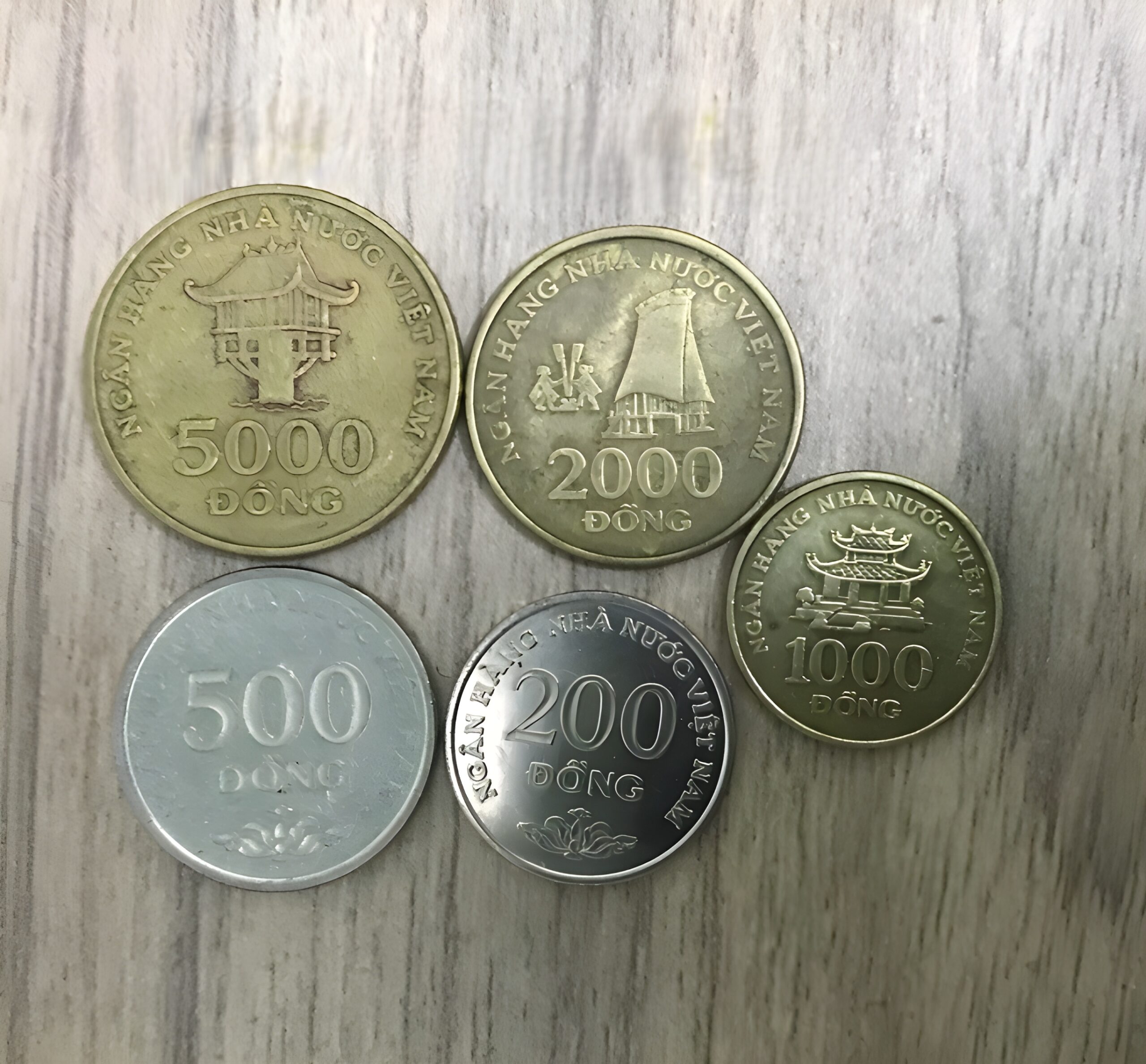 Vietnamese metal coins