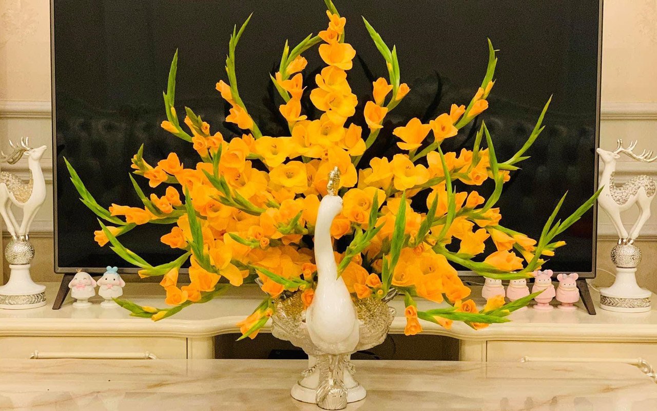 Don flowers, a popular display flower during the Vietnamese traditional Tet holiday