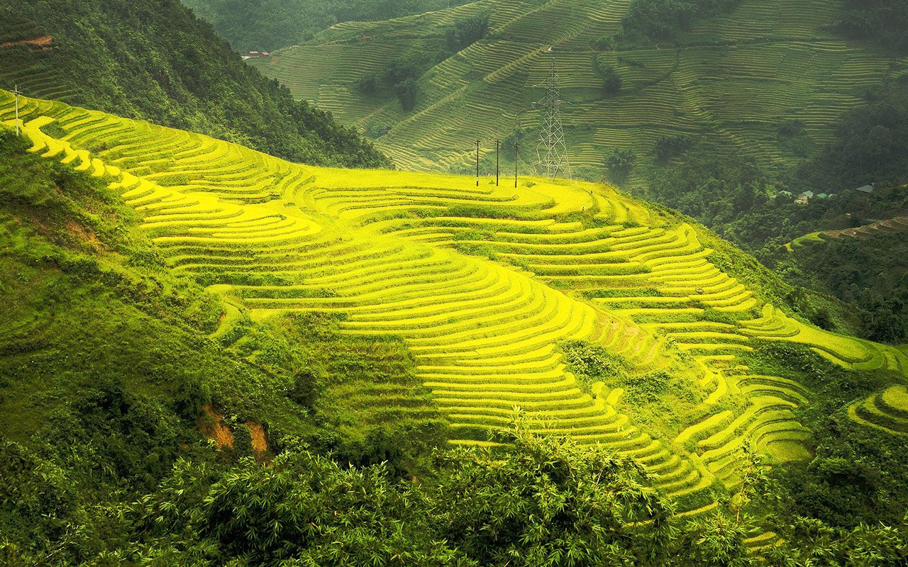 Sapa is famous for its terraced fields