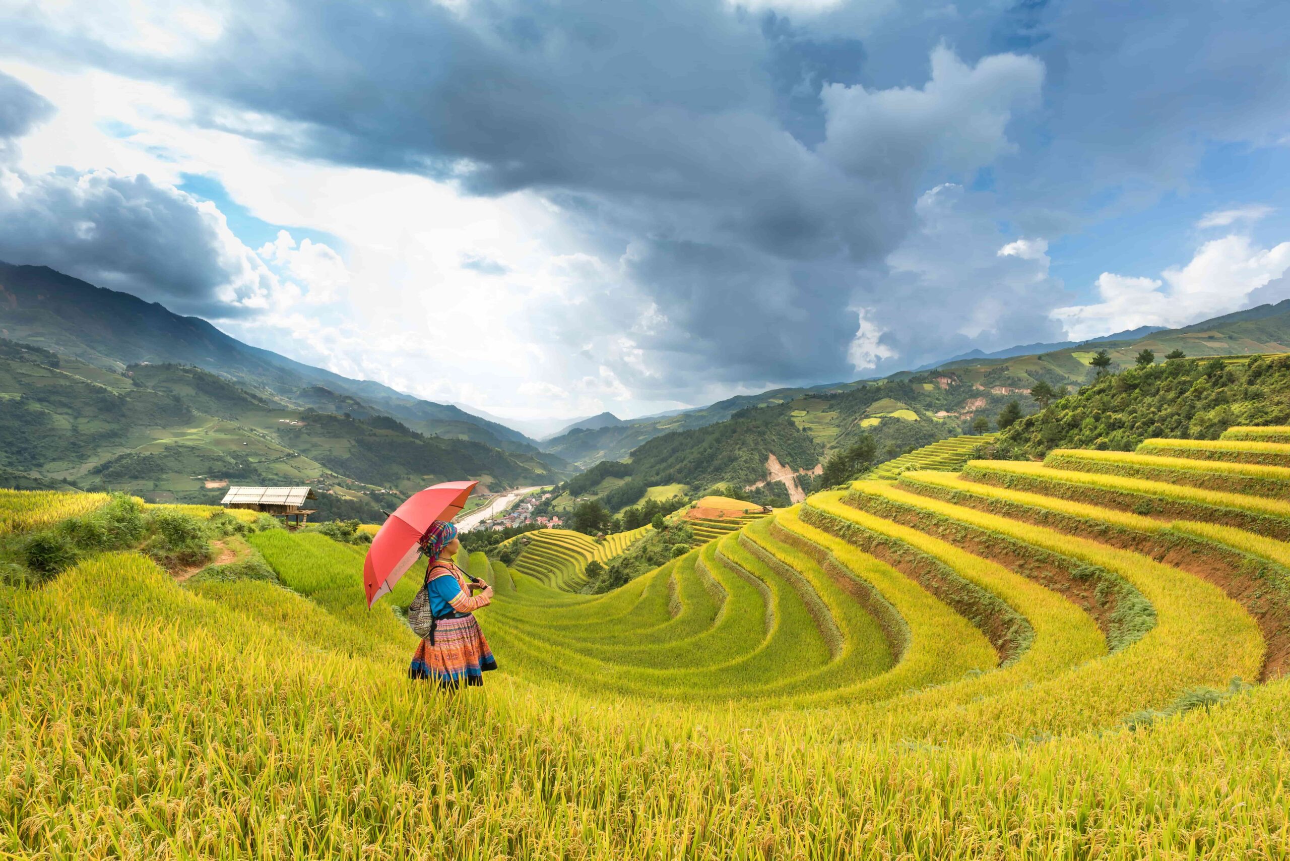A view of the rice terraces in Sapa, a mountainous region in northern Vietnam A view of the rice terraces in Sapa, a mountainous region in northern Vietnam