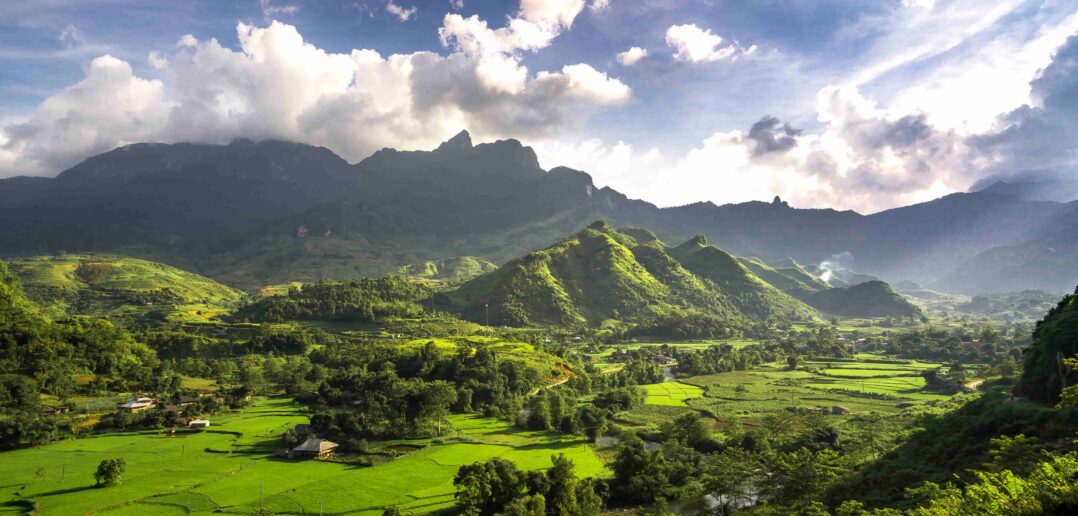 Beautiful green landscape with green field with trees in Ha Giang, Vietnam