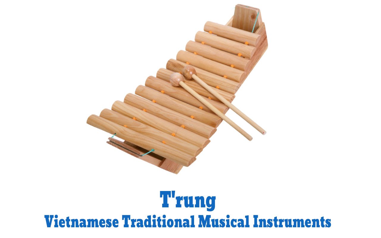 Vietnamese Traditional Musical Instruments